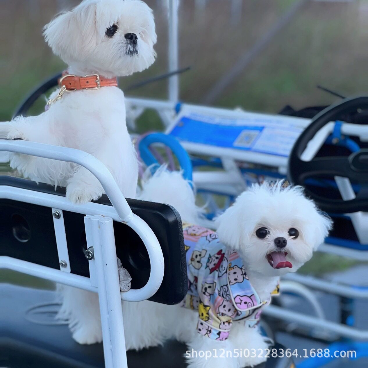 小狗睡衣狗狗衣服雪纳瑞比熊泰迪小型犬夏季薄款防掉毛卡通日韩风