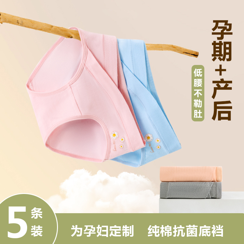 孕妇内裤纯棉抗菌大码无痕
