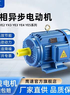 2级能效YE4-100L2-4级3WYE4-132M-4 7.5w高效率三相异步电动机