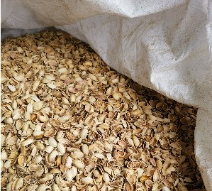 1月8日中山带壳开心果边角料一批（12584KG）网络拍卖公告