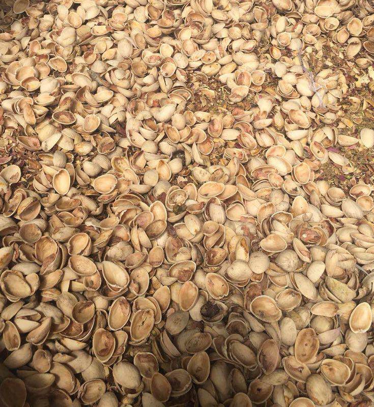 12月25日中山统级开心果仁边角料一批（246.32KG）网络拍卖公告