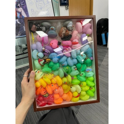 林里鸭子收纳盒鸭鸭相框展示框立体中空画框桌面装饰摆件创意礼物