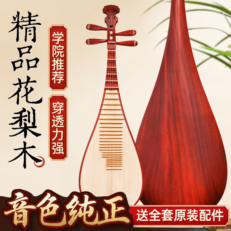 花梨木琵琶乐器专业考级成人儿童