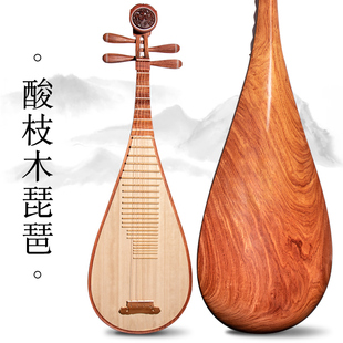 艺海酸枝木琵琶乐器初学入门成人专业考级演奏琵琶琴厂家直销