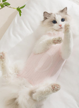 春夏款猫咪空调服简约时尚布标宝包肚衣中小型犬狗狗护肚宠物衣服