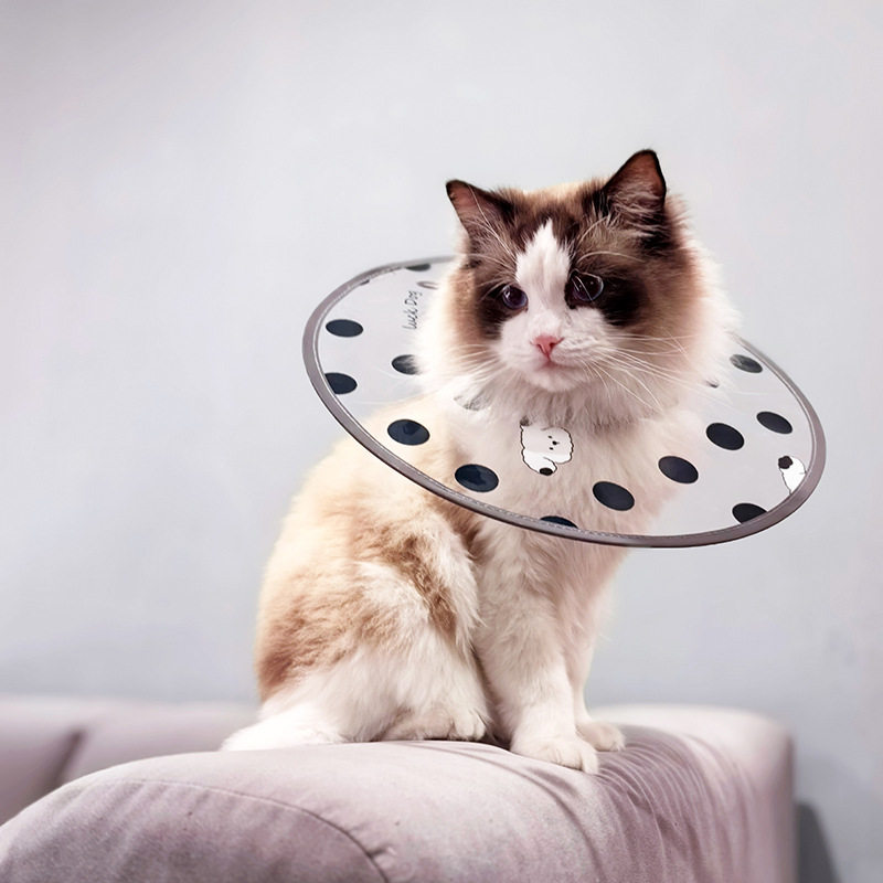 猫咪伊丽莎白圈时尚印花透明PVC狗狗绝育防舔咬护理项圈宠物用品
