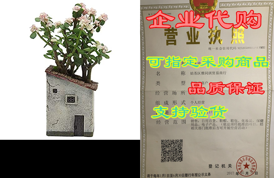 ifuneys flower pot succulent plant pots indoor outdoor wi