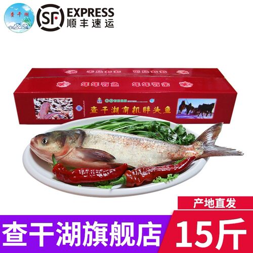 查干湖有机鱼价格 查干湖有机鱼图片 星期三
