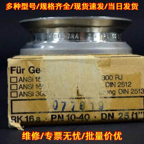 RK16a 止回阀 GESTRA PN10-40 DN25议价维修