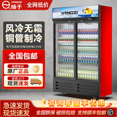 扬子铜管双开门商用风冷冷藏冰柜保鲜冷柜啤酒冰箱立式饮料展示柜