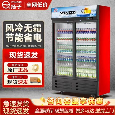 扬子双开门商用风冷冷藏冰柜保鲜冷饮冷柜啤酒冰箱立式饮料展示柜