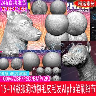 动物毛皮头发细节VDM风格化毛发猫狼狗皮毛Alpha雕刻纹理zb笔刷