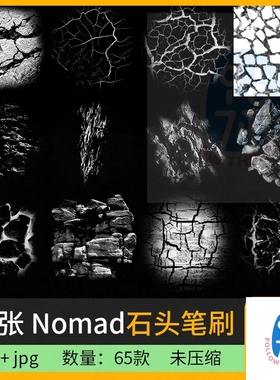 65款nomad石头图章笔刷素材 大理石 岩石 石面 石块 碎石笔刷n010