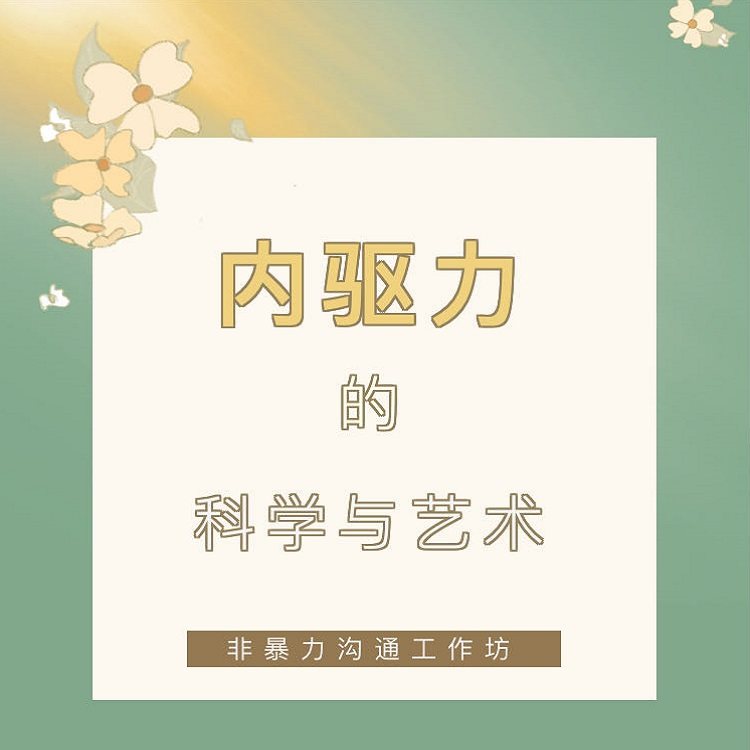 内驱力的科学与艺术视频NVC非刻录盘个性化服务