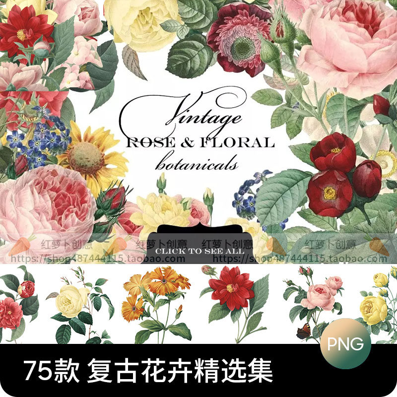 优雅复古手绘植物花卉艺玫瑰花PNG免扣图案高清图片PS设计素材图,商务/设计服务,设计素材/源文件,淘宝优惠券,粉丝福利购,淘宝优惠卷