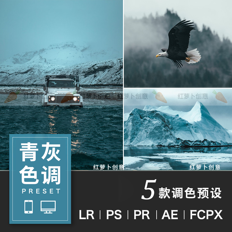 Lr预设青灰色调ps/Pr手机人像