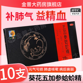葵花五加参蛤蚧精10支补肺气益精血用于元气亏损肺虚咳嗽病后衰弱