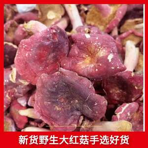 正宗野生红菇伏牛山特产大片