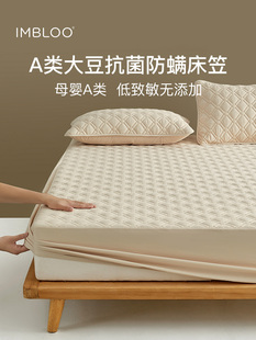Imbloo抗菌和防螨床单套单件席梦思床垫保护大豆绗缝a型秋冬