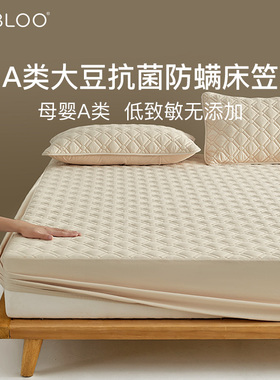 IMBLOO抗菌防螨床笠罩单件席梦思床垫保护套大豆夹棉A类秋冬季