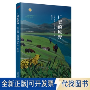 陈迪 原野 社2025 译9787020191789人民文学出版 著 若昂·吉马良斯·罗萨 巴西 广袤 全新正版