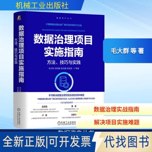全新正版数据治理项目实施指南：方法、技巧与实践毛大群 等 著 著9787111794066机械工业出版社2025-11-01