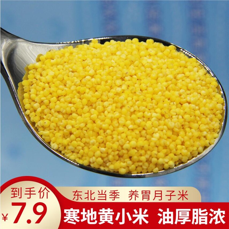 2024新黄小米东北特产煮粥养胃五谷杂粮500g农家小黄米孕妇月子米