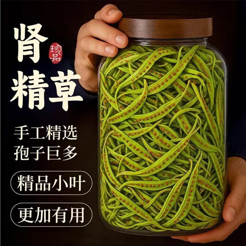 长白山野生肾精草泡水喝纯天然化石草肾精茶黄金肾经草东北嗷嗷叫