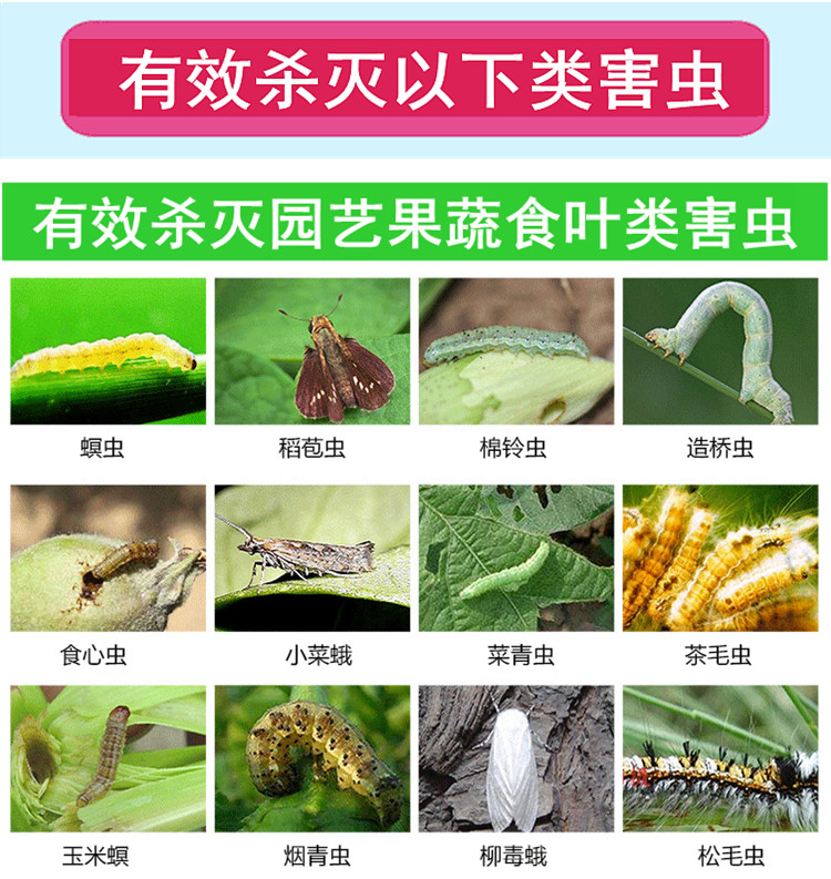 土虫净价格 土虫净图片 星期三