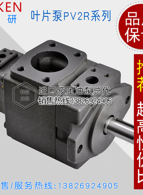 全新注塑机高低压油泵PVL PV2R13-12/14/17-76-F-RAAA-30/31/现货
