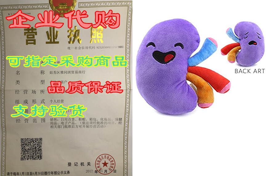 attatoy plush kidney, stuffed body organ toy for get well