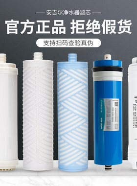 安吉尔净水器滤芯2605-ROB60(A8)2405/N7/N8/V6/V3plus/T6/N9/X6