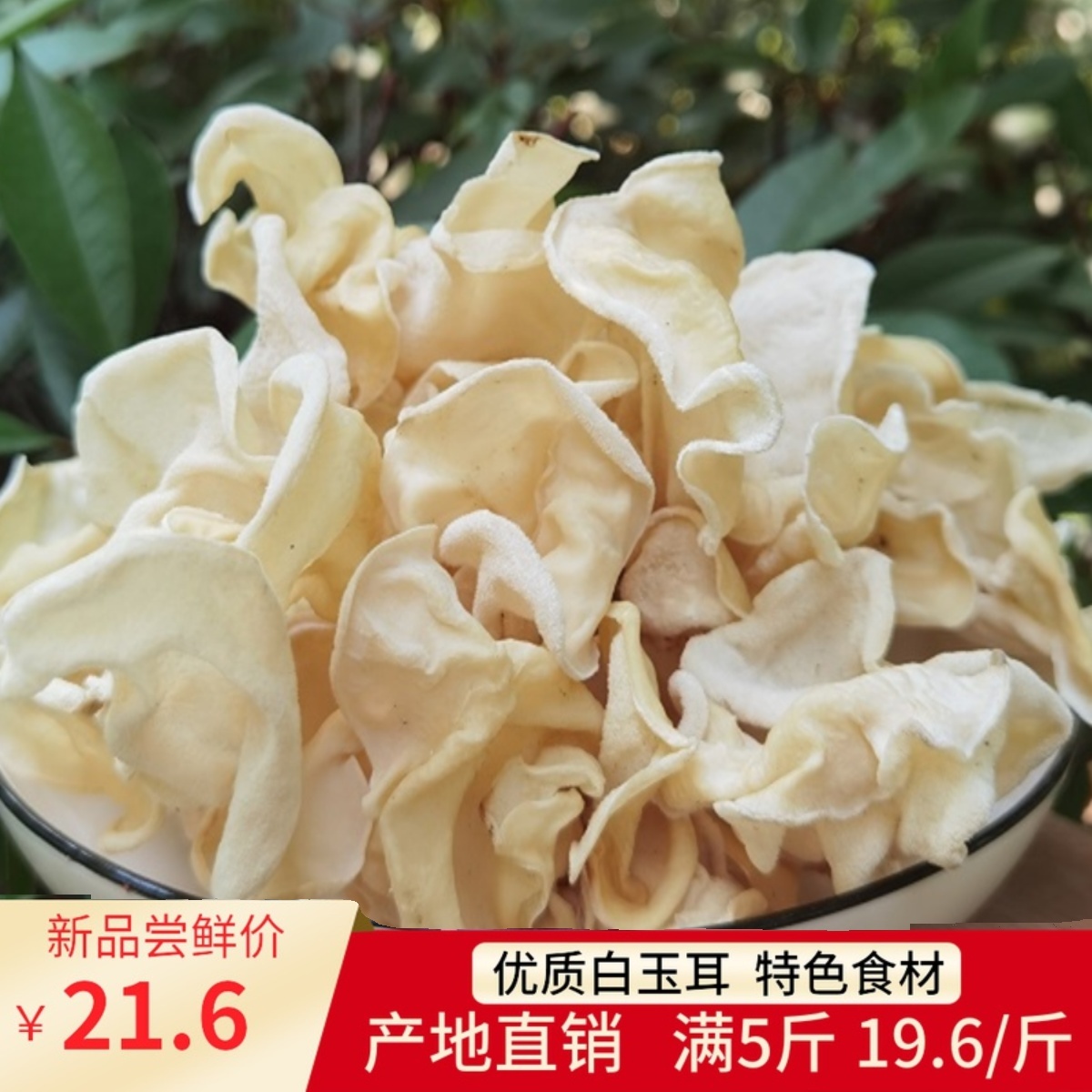 玉耳优质白竹包邮散装特色食材