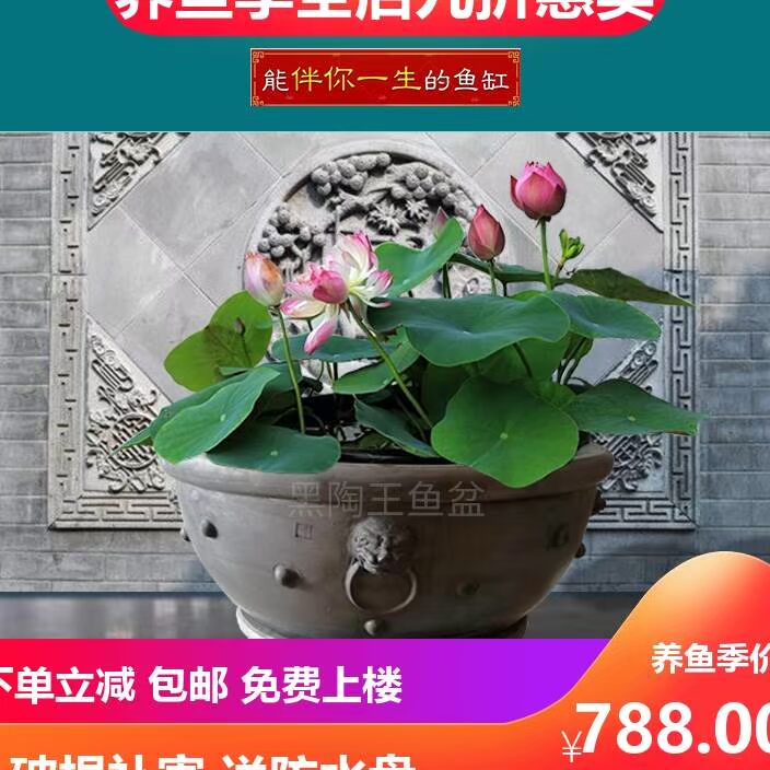 金鱼盆泥瓦盆鱼盆精工鱼盆瓦盆金鱼泥盆家用养金鱼盆