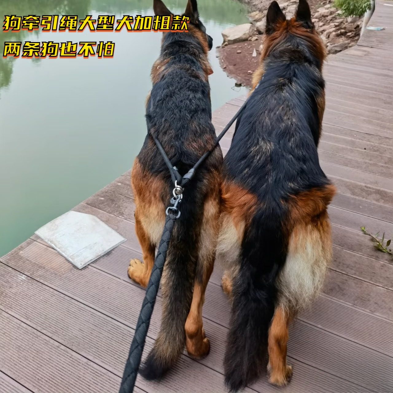 狗牵引绳大型犬加粗款尼龙胸背带