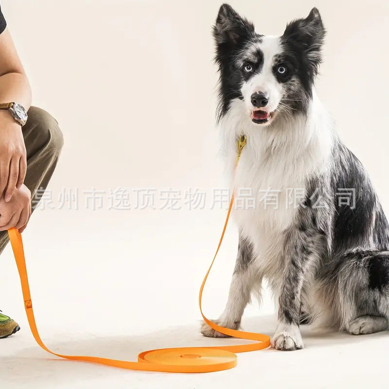 宠物牵引绳户外遛狗绳子