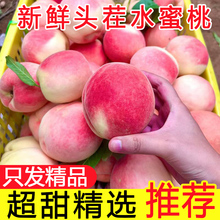 水蜜桃5斤水果新鲜当季整箱脆甜毛桃包邮应季现摘油密软时令桃子