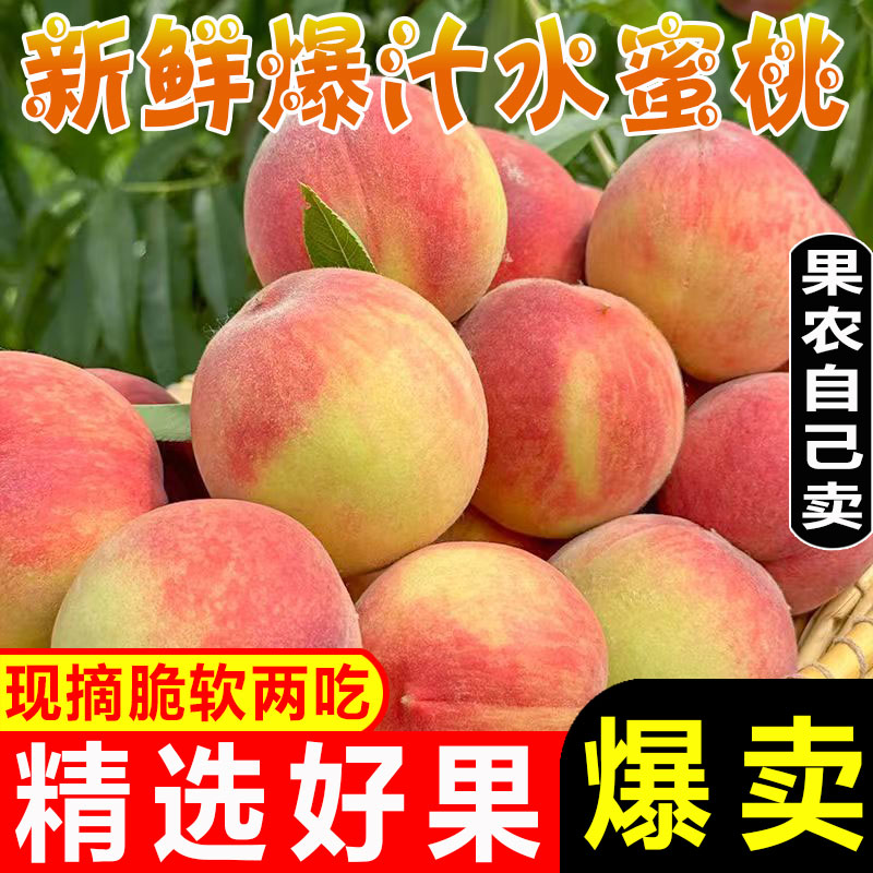 水蜜桃5斤水果新鮮當(dāng)季整箱脆甜毛桃包郵應(yīng)季現(xiàn)摘油密軟時令桃子