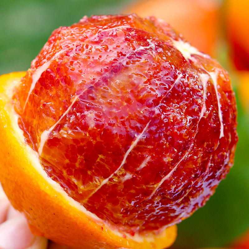 塔罗科血橙橙子新鲜水果产地直发当季整箱包邮