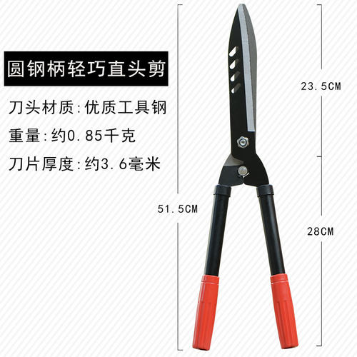 花木剪绿篱剪草坪剪园林修枝剪园艺大剪刀绿化粗枝果树枝修花工具