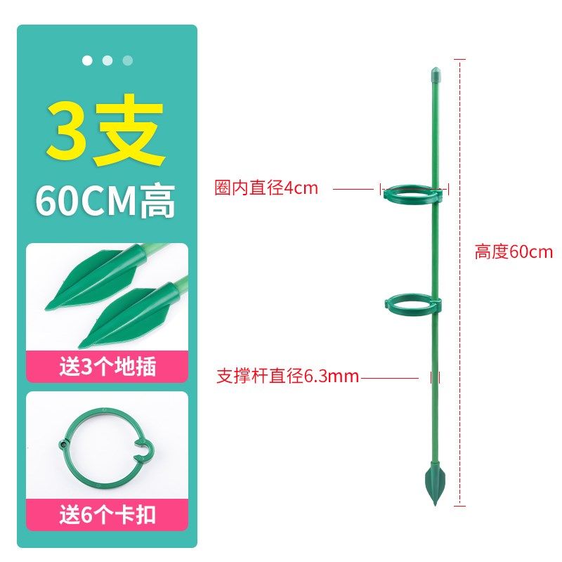 植物支撑杆龟背竹花支撑架绿植园艺蔬菜固定神器番茄西红柿爬藤架,玩具/童车/益智/积木/模型,其它早教玩具类,淘宝优惠券,粉丝福利购,淘宝优惠卷