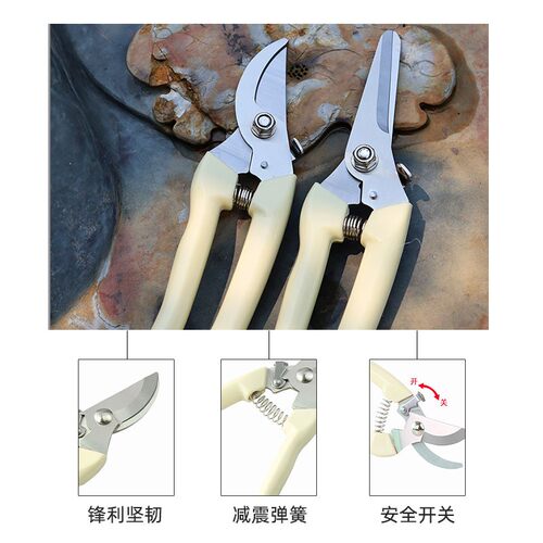 园艺剪刀剪枝剪树枝修枝剪花剪园林修剪粗枝剪子省力花艺工具
