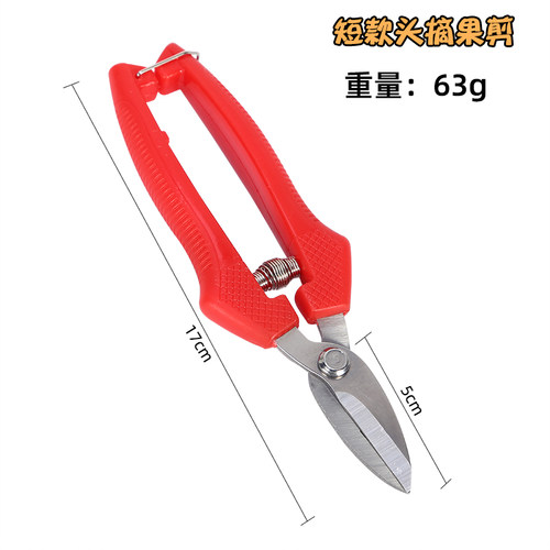 修枝剪葡萄摘果摘水果剪刀桔子稀果剪子采摘花艺修花园艺工具实用