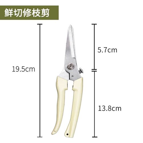 剪刀修枝剪果树修枝剪刀园艺园林花剪花枝工艺剪绿植花卉剪枝通用