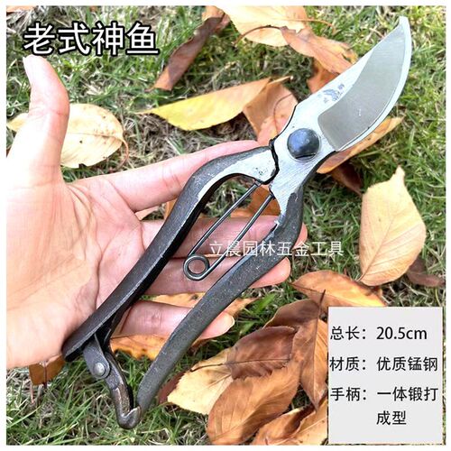望儿山修枝剪果树剪刀园艺剪进口省力粗枝剪剪树枝专用剪刀花艺剪