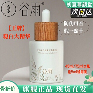 谷雨光感美白精华液稳白瓶光甘草去黄提亮肤色补水保湿修护淡斑印