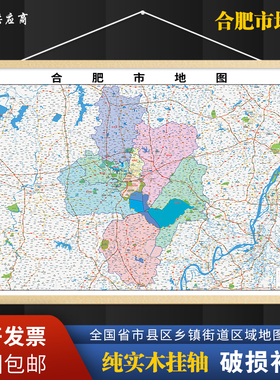 2026新版合肥市挂图墙面装饰画客厅沙发墙壁挂画世界中国挂画