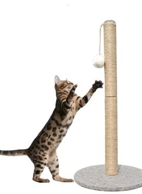 Sisal Rope Cat Scratching Post Tree Toy com bola colorida, P