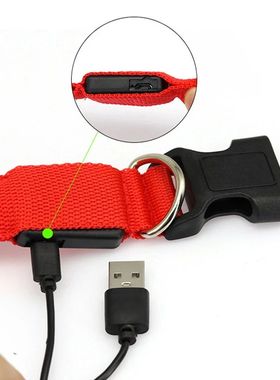Collar para perro recargable por USB, luz luminosa intermite