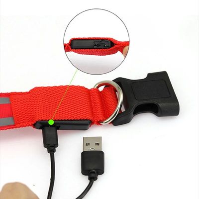 Collar para perro recargable por USB, luz luminosa intermite